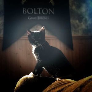 Meet your Posher, Jodi